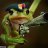 frogdor